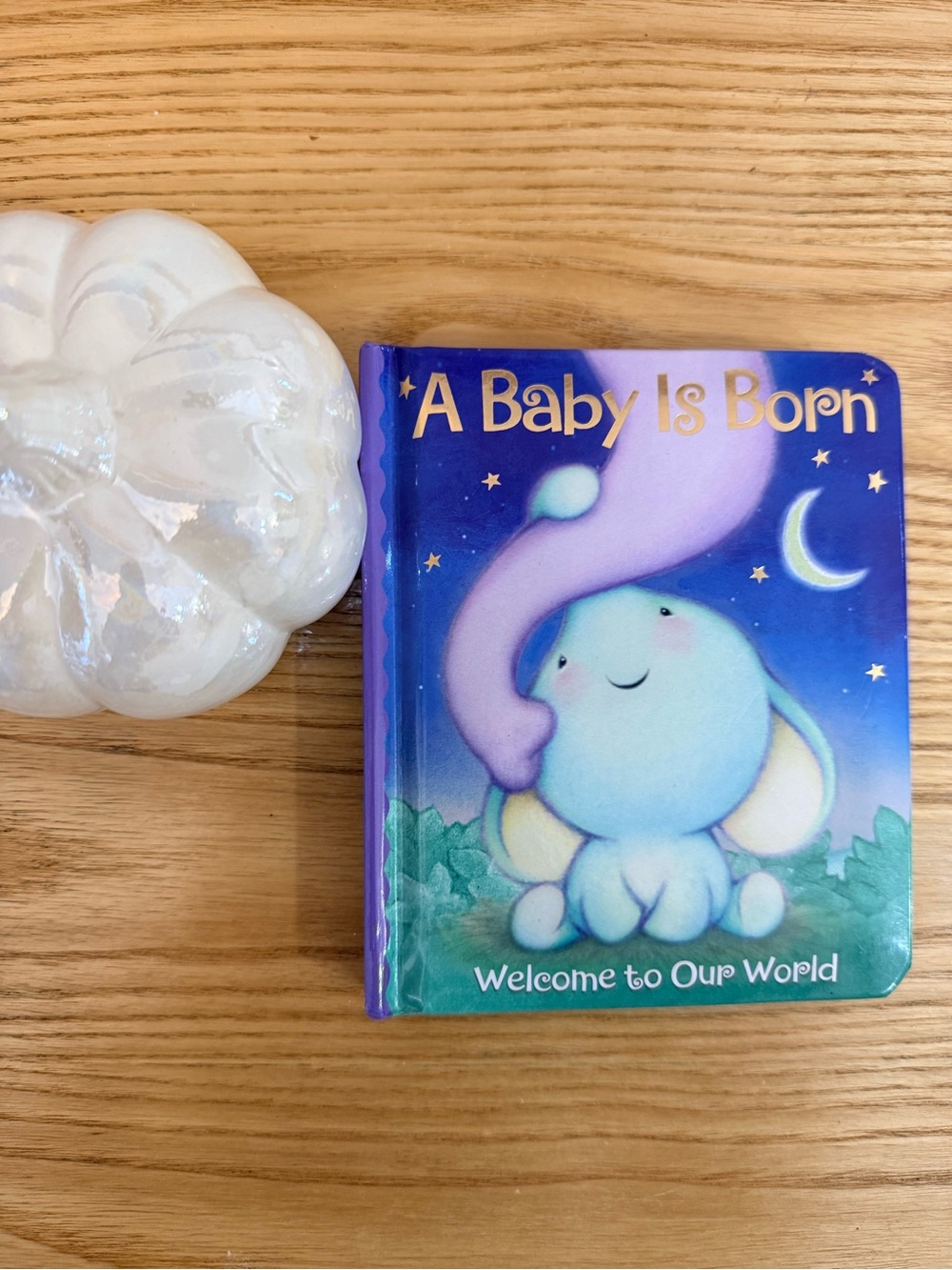 🌿10/$25 • A Baby Is Born Welcome To Our World Boardbook